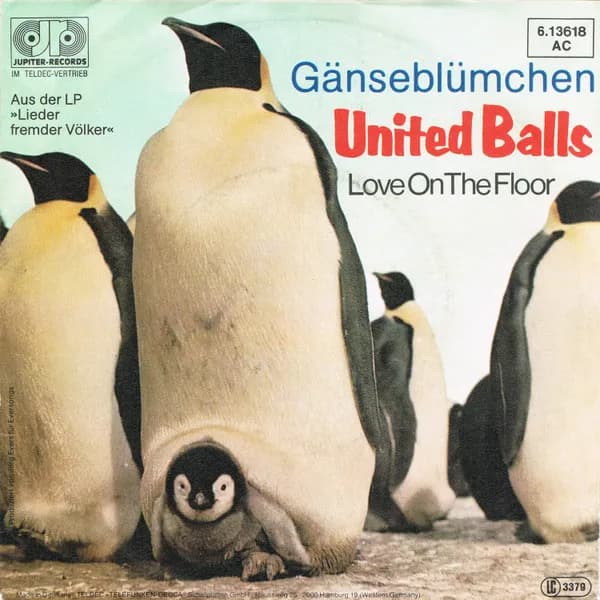 Gänseblümchen