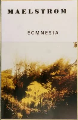 Ecmnesia