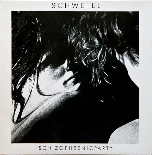 Schizophrenic Party