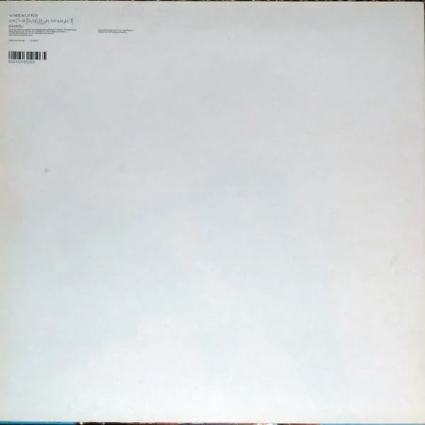 Aphex Twin — Windowlicker