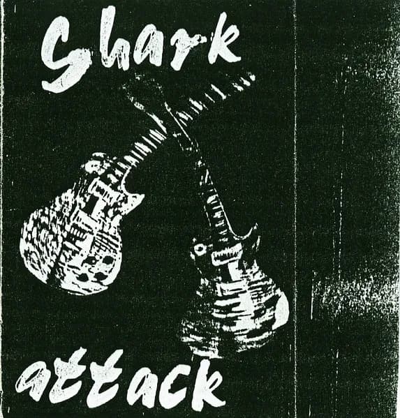 Shark Attack