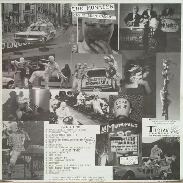 The Mummies — Never Been Caught