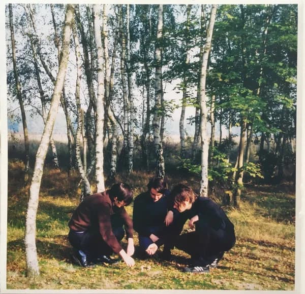 Tocotronic — Tocotronic