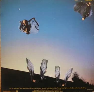 Kate Bush — Never For Ever