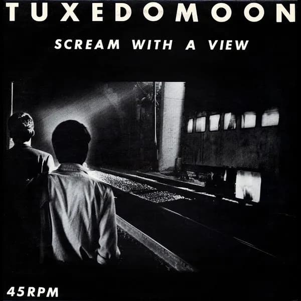 Scream With A View