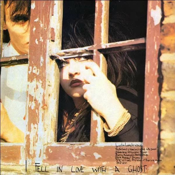 Rowland S. Howard / Lydia Lunch — Some Velvet Morning