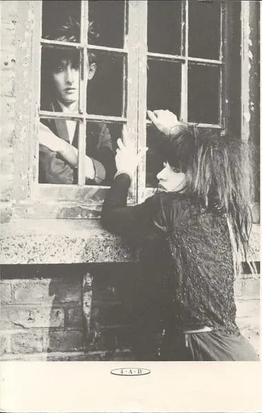 Rowland S. Howard / Lydia Lunch — Some Velvet Morning
