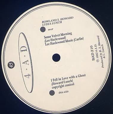 Rowland S. Howard / Lydia Lunch — Some Velvet Morning