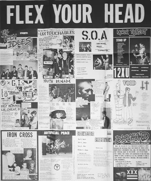 Various — Flex Your Head