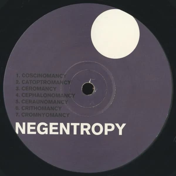 The Hafler Trio — Negentropy