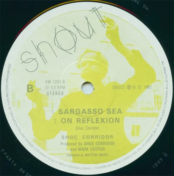 Shoc Corridor — A Blind Sign