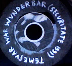 Temesvar War Wunderbar — Viva Ceausescu!