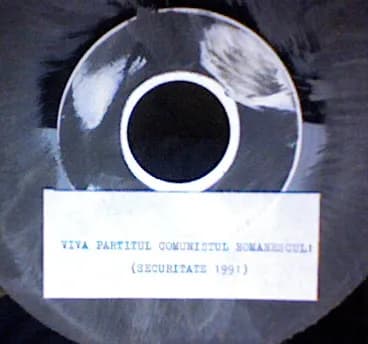 Temesvar War Wunderbar — Viva Ceausescu!