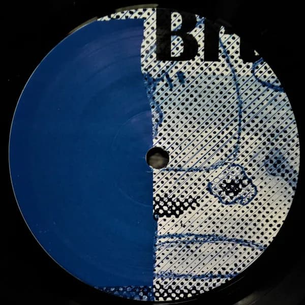 Brüllen — Schatzitude