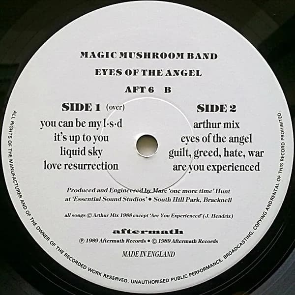 Magic Mushroom Band — Eyes Of The Angel