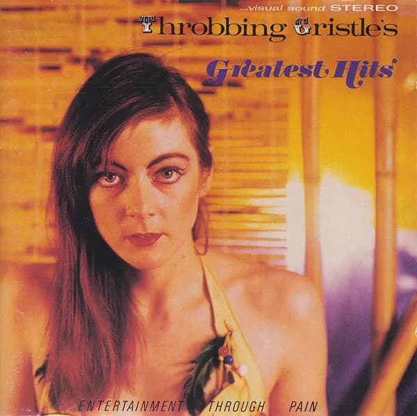 Throbbing Gristle's Greatest Hits (Entertainment Through Pain)