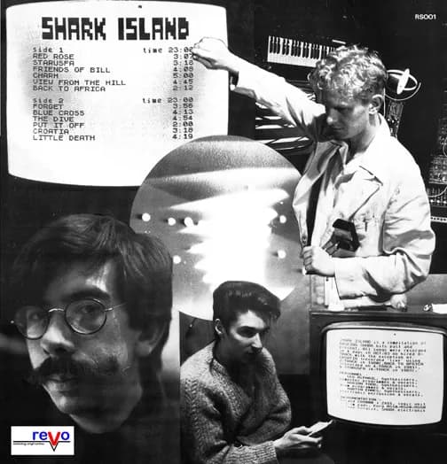 Basking Sharks — Shark Island