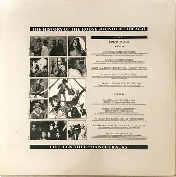 Various — The History Of The House Sound Of Chicago (...From The Very Beginning...) - The Story Continues