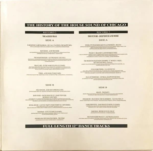 Various — The History Of The House Sound Of Chicago (...From The Very Beginning...) - The Story Continues