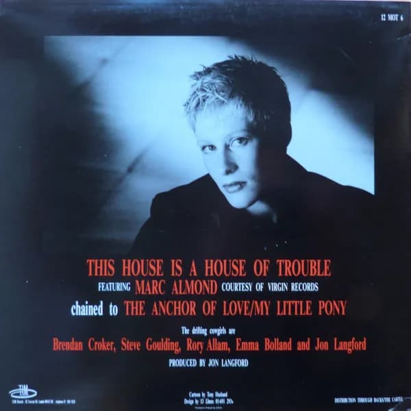 Sally Timms And The Drifting Cowgirls — This House Is A House Of Trouble