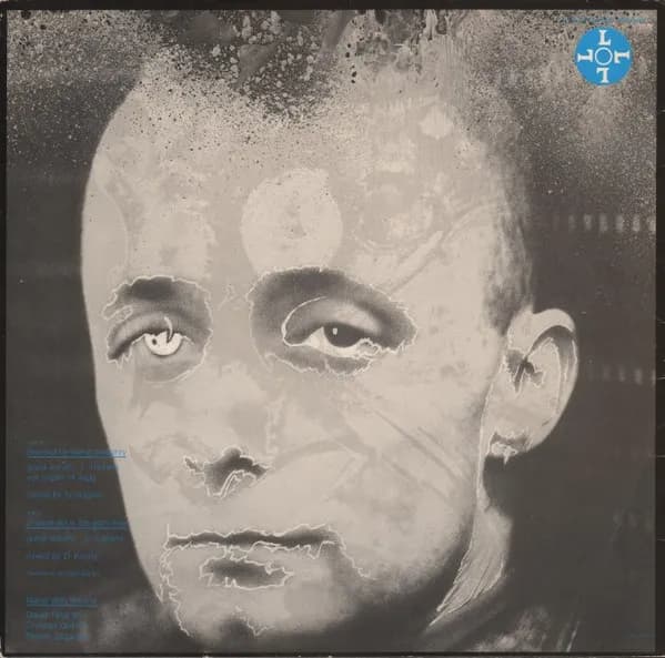 Nurse With Wound — Brained By Falling Masonry