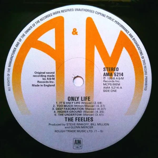 The Feelies — Only Life