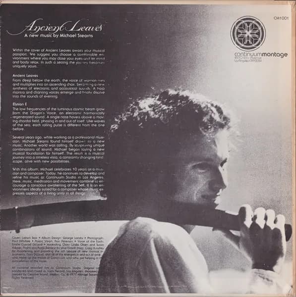 Michael Stearns — Ancient Leaves