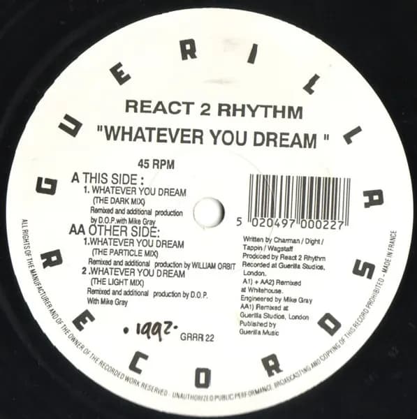 Whatever You Dream