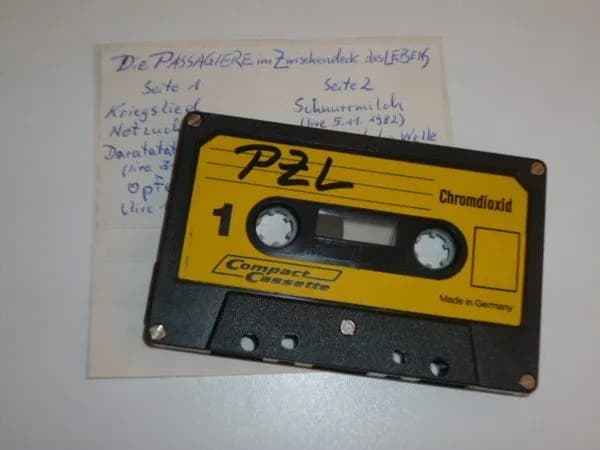 PZL — Aufstand Der Irren