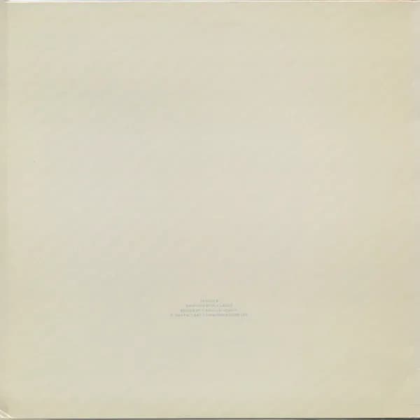 New Order — 1981-1982