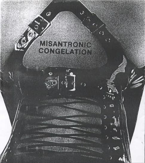Misantronic Congelation — Provoking Synthetics
