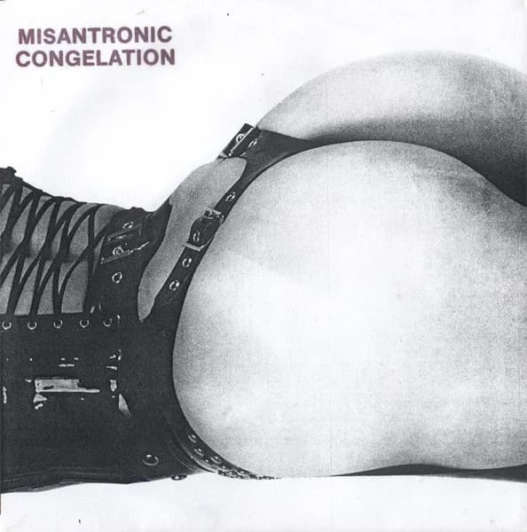 Misantronic Congelation — Provoking Synthetics