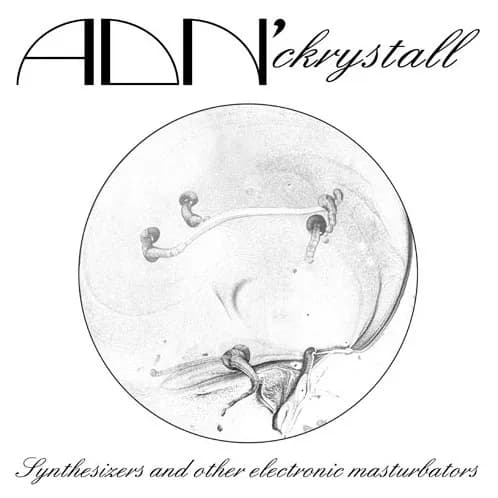 Synthesizers And Other Electronic Masturbators