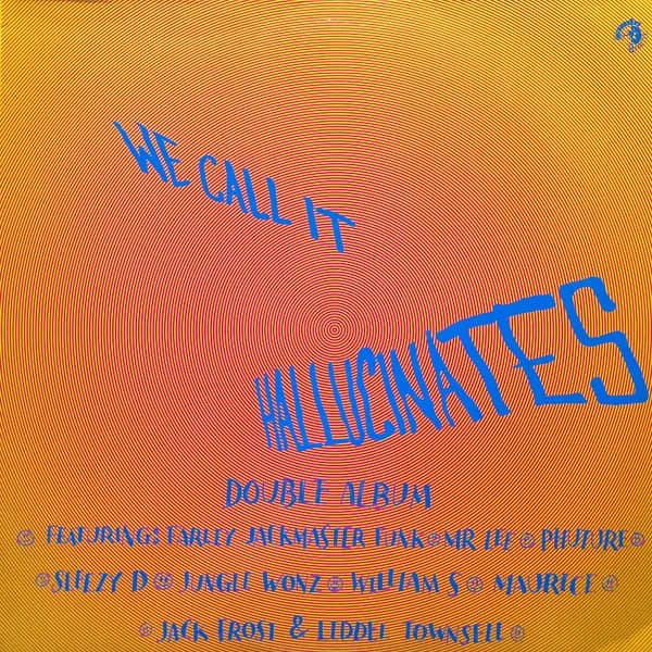 We Call It Hallucinates