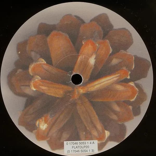 µ-Ziq — In Pine Effect