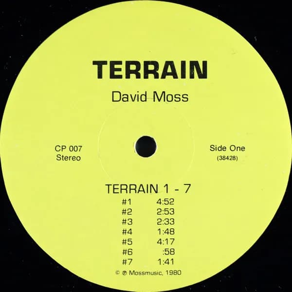 David Moss — Terrain