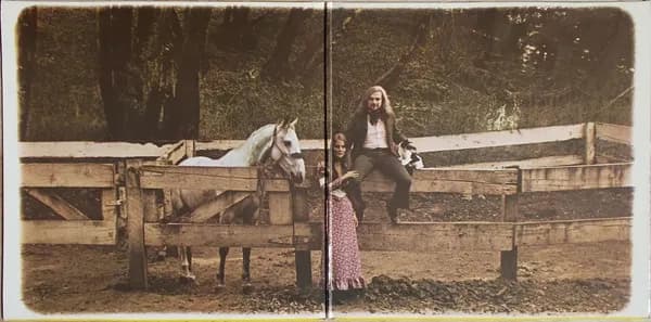 Van Morrison — Tupelo Honey