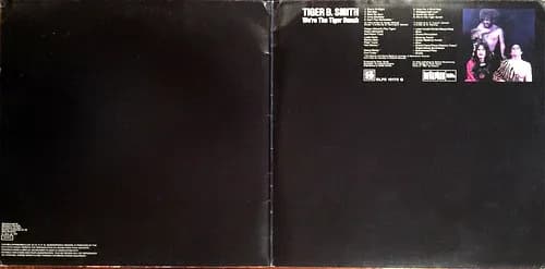 Tiger B. Smith — We're The Tiger Bunch