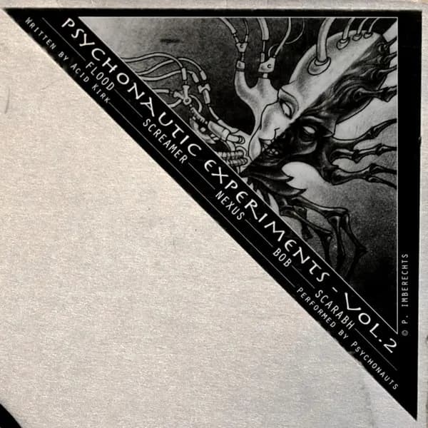 Acid Kirk — Psychonautic Experiments Vol. 2