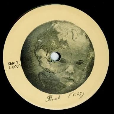 Monitor (3) — Beak