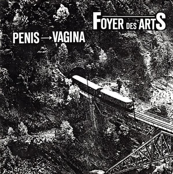 Penis - Vagina