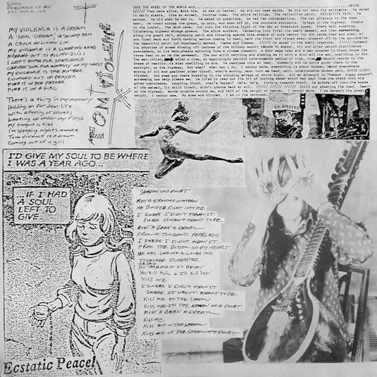 Sonic Youth — Evol