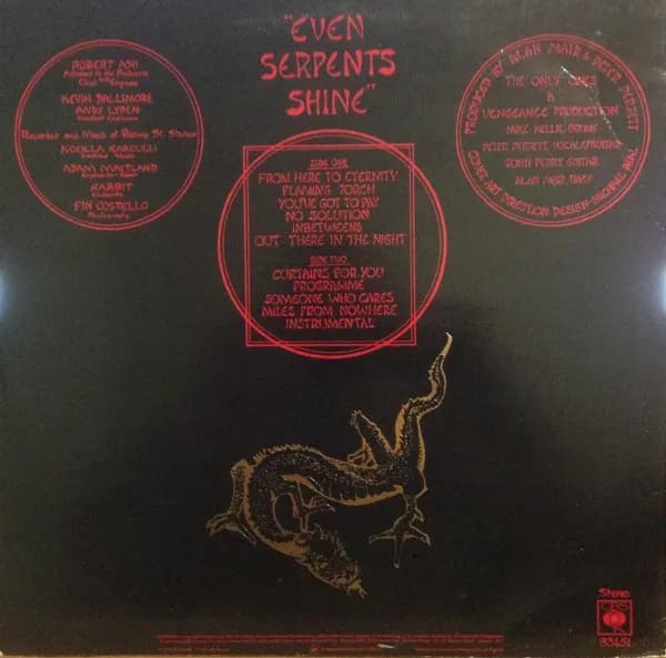 The Only Ones — Even Serpents Shine