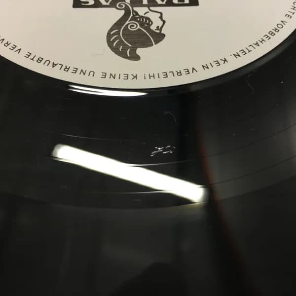 Clock DVA — Transitional Voices