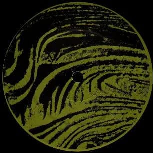 Psychick Warriors Ov Gaia — Maenad