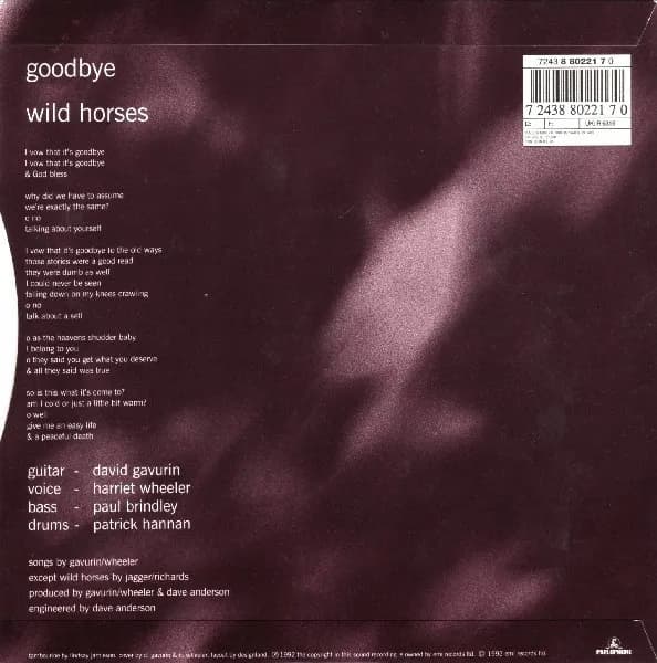 The Sundays — Goodbye