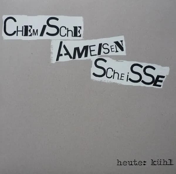 Heute: Kühl