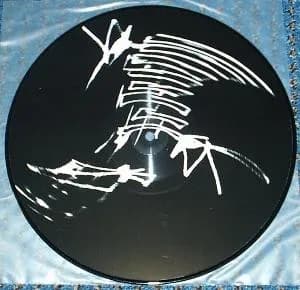 Helmut Lemke / Andreas Müller — -I-II-III-IIII-