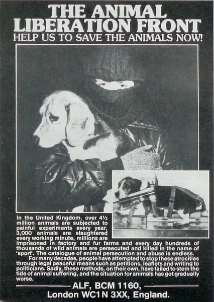 Various — Devastate To Liberate