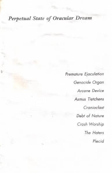 Various — Perpetual State Of Oracular Dream